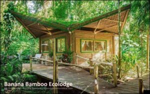 Banana Bamboo Ecolodge - industriadehoteis.com